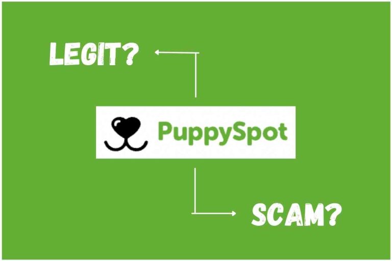 Is PuppySpot Legit? Here's What They Don't Want You to Know