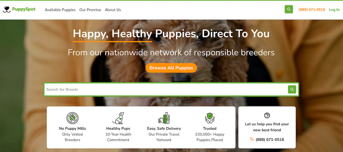 Is PuppySpot Legit?: Here's What They Don't Want You to Know